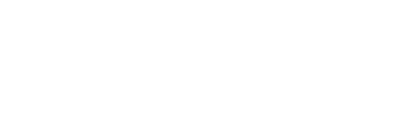 Verve Forecast mobile logo